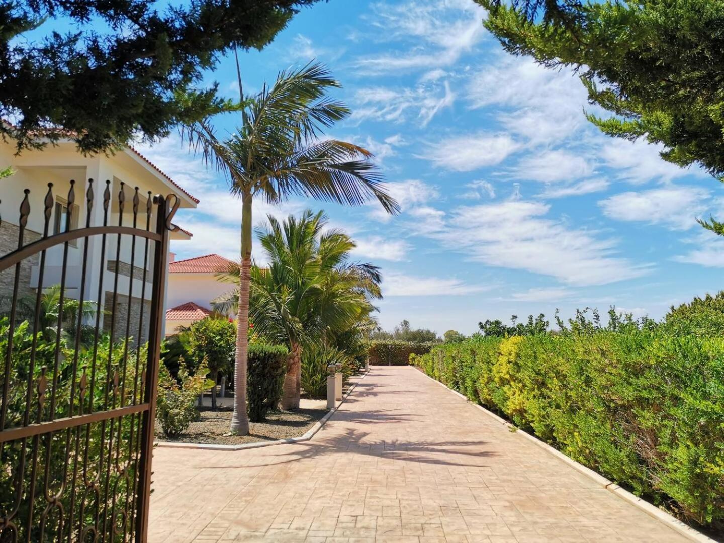 Orchard Blossom Private Villa With Pool Phrenaros 外观 照片