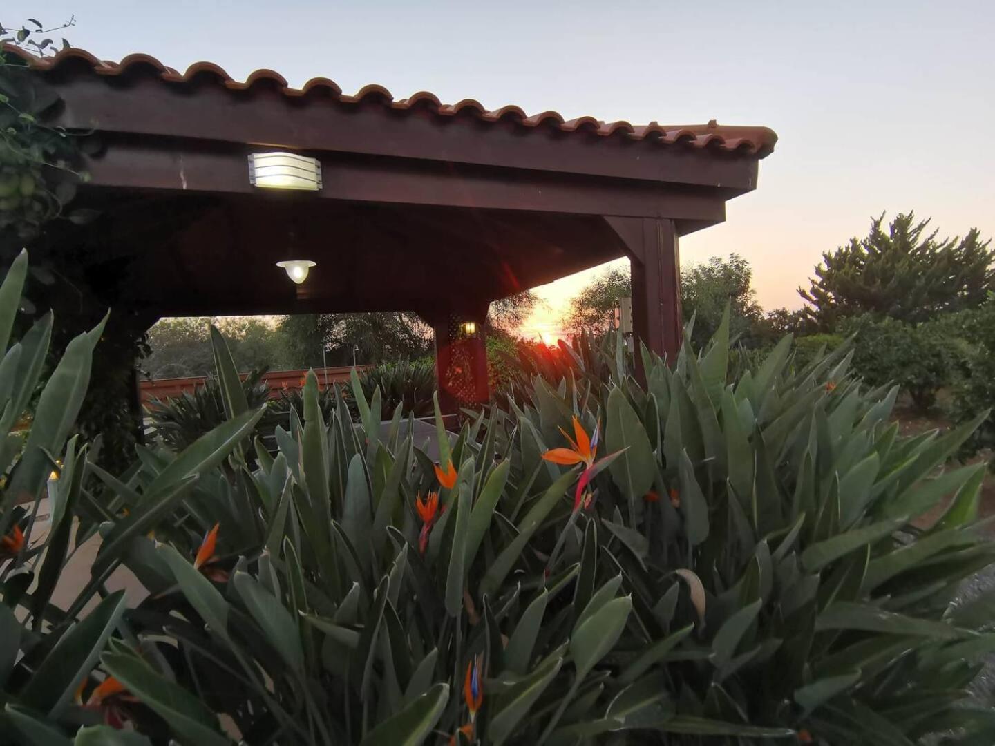 Orchard Blossom Private Villa With Pool Phrenaros 外观 照片