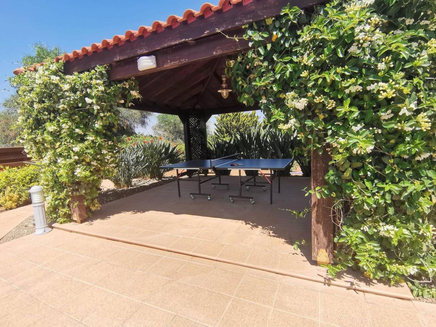 Orchard Blossom Private Villa With Pool Phrenaros 外观 照片
