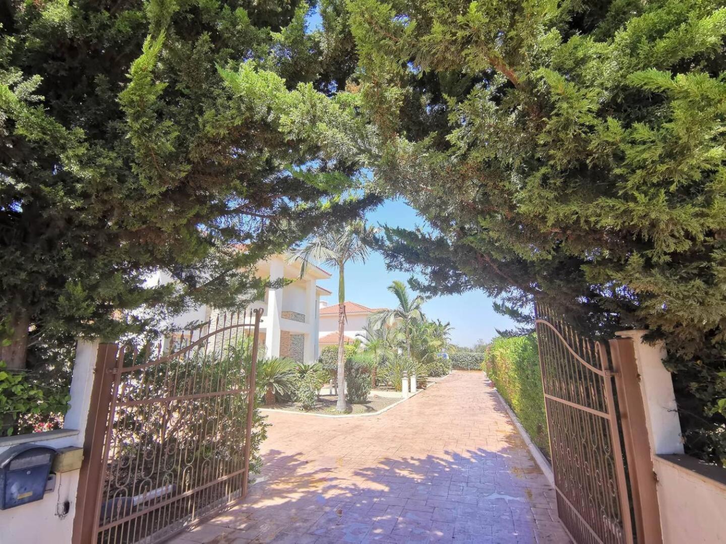 Orchard Blossom Private Villa With Pool Phrenaros 外观 照片